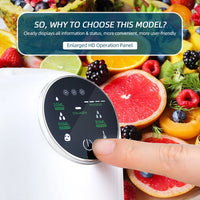 Automatic Fruit and Vegetable DIY Facial Mask Maker