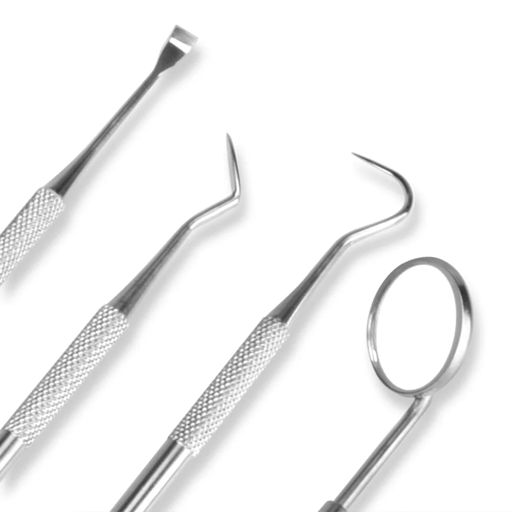 Professional 4-Piece Stainless Steel Dental Hygiene Cleaning Kit - 12