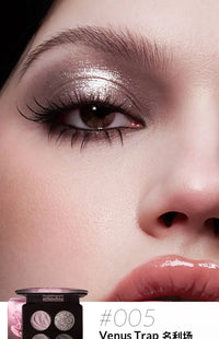 4-Color Shimmer & Matte Eyeshadow Palette