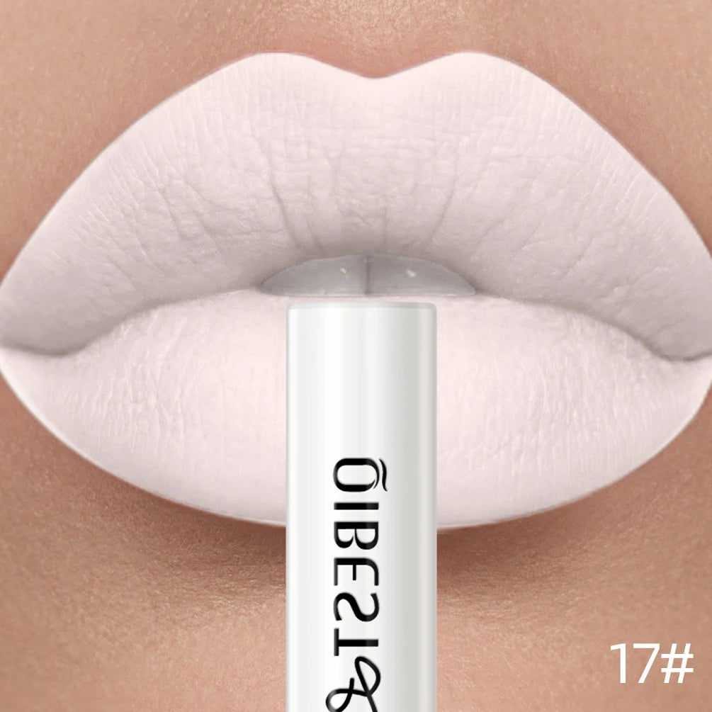 Long-Lasting Waterproof Velvet Matte Liquid Lipstick - 26