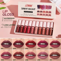 10-Color Velvet Matte Lip Gloss Set