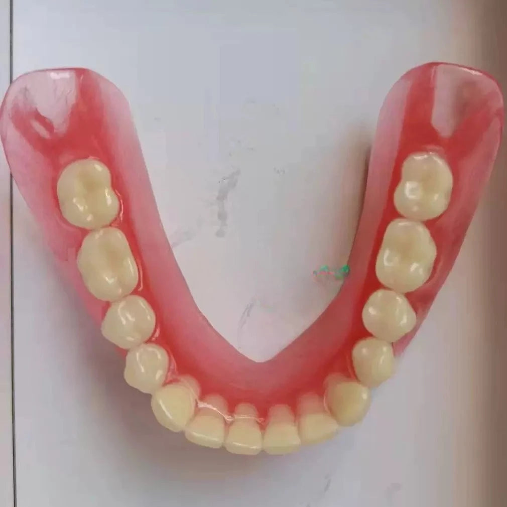 Full Mouth Denture Dental Study Model - 14
