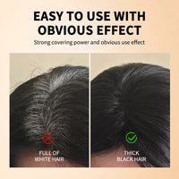 Instant Gray Hair Root Touch-Up Stick