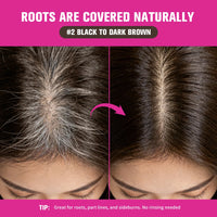 Instant Hair Root and Gray Coverage Touch-Up Pen