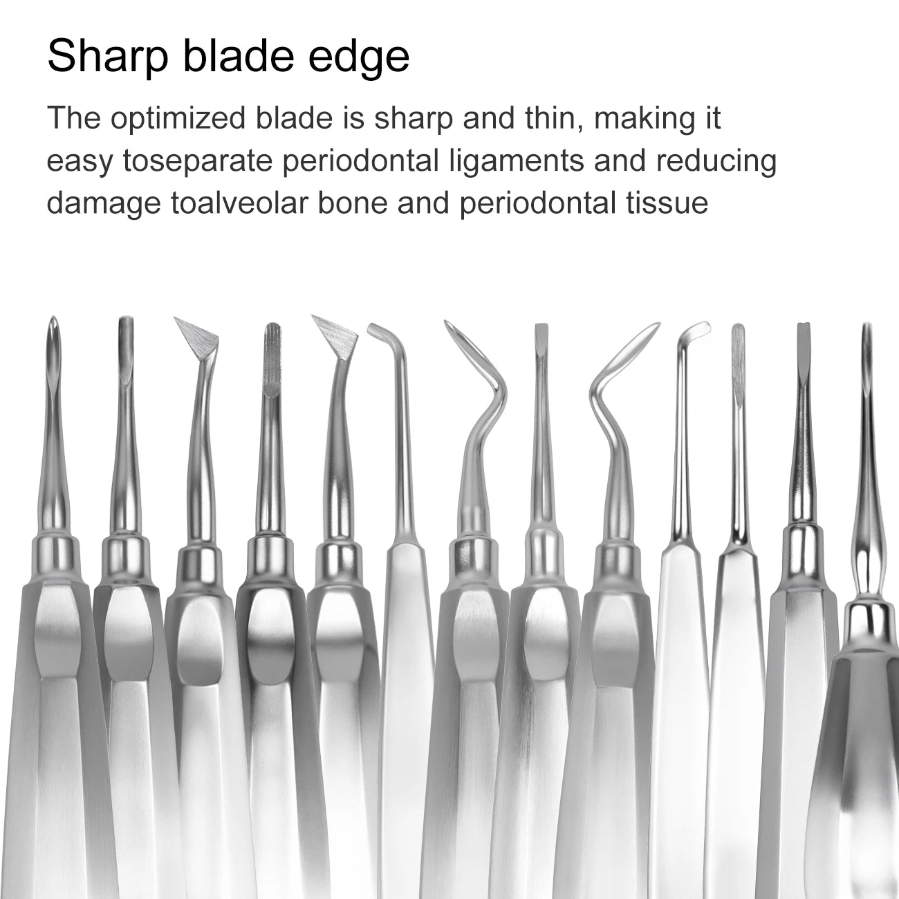 Professional 13-Piece Dental Extraction and Elevator Kit - 3