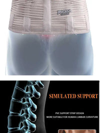 Adjustable Lumbar Support and Waist Trainer Belt