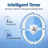 Rechargeable Rotating Electric Toothbrush with 4 Heads