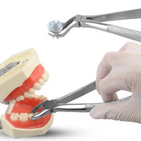 Professional Dental Extraction Forceps and Elevator Kit