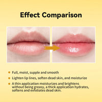 Propolis Hydrating Honey Lip Repair Gel