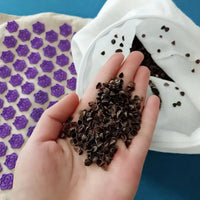 Acupressure Massage Mat and Pillow Set for Muscle Relief