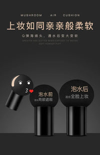 Mushroom Head Air Cushion BB Cream Concealer