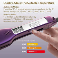 Professional Titanium Hair Straightener with Digital Display