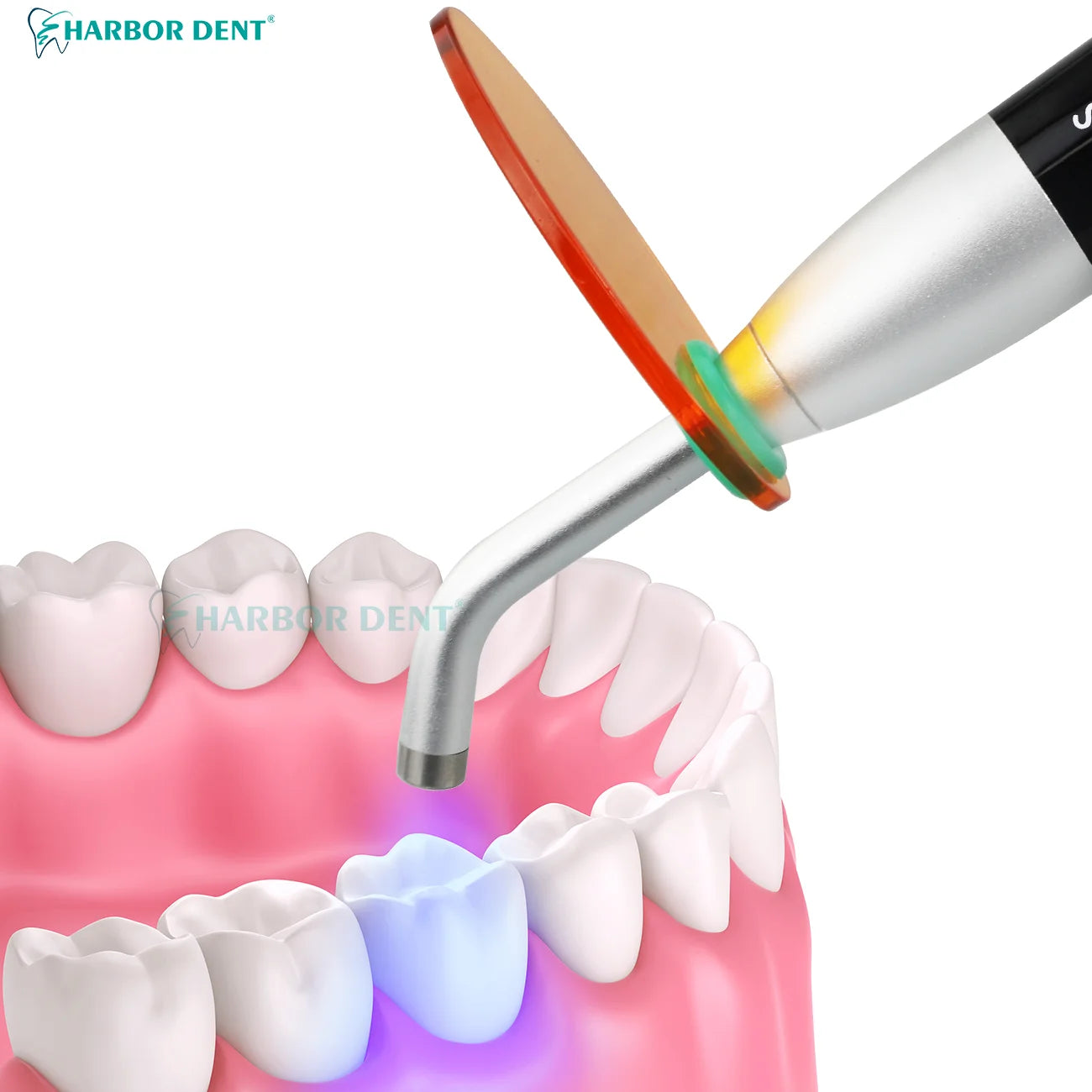 High-Power Dental LED Composite Curing Light - 6