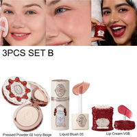 Strawberry Cupid Velvet Matte Makeup Collection Set