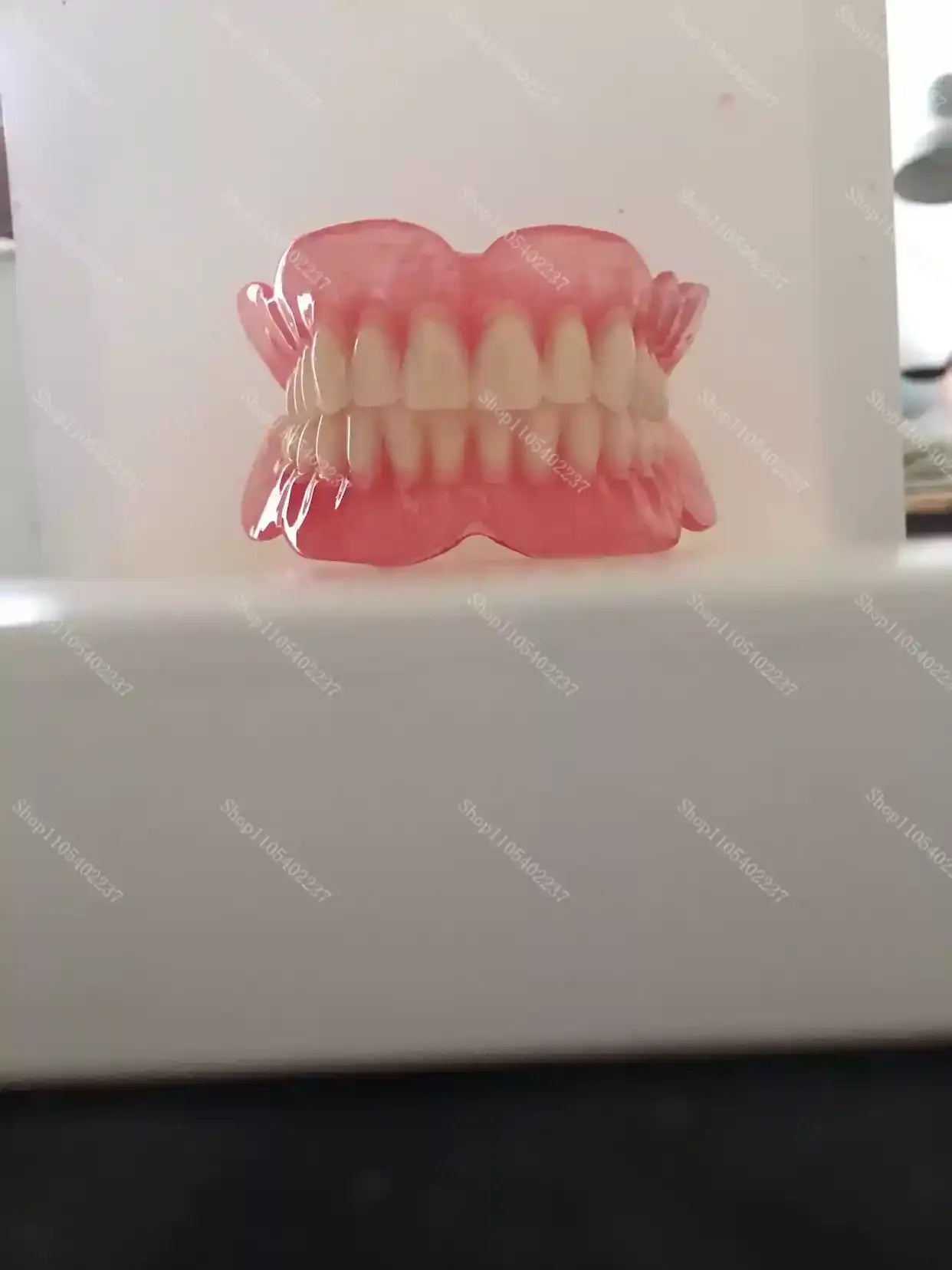 Full Mouth Denture Dental Study Model - 11