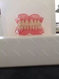 Full Mouth Denture Dental Study Model
