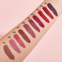 10-Color Velvet Matte Lip Gloss Set