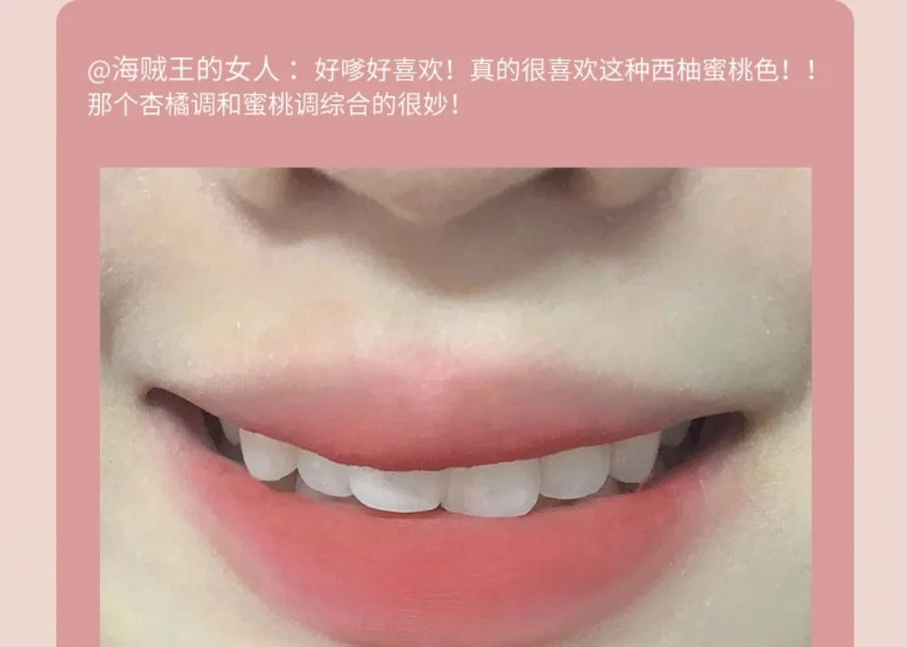 Matte Velvet Lip Mud Cream - 39