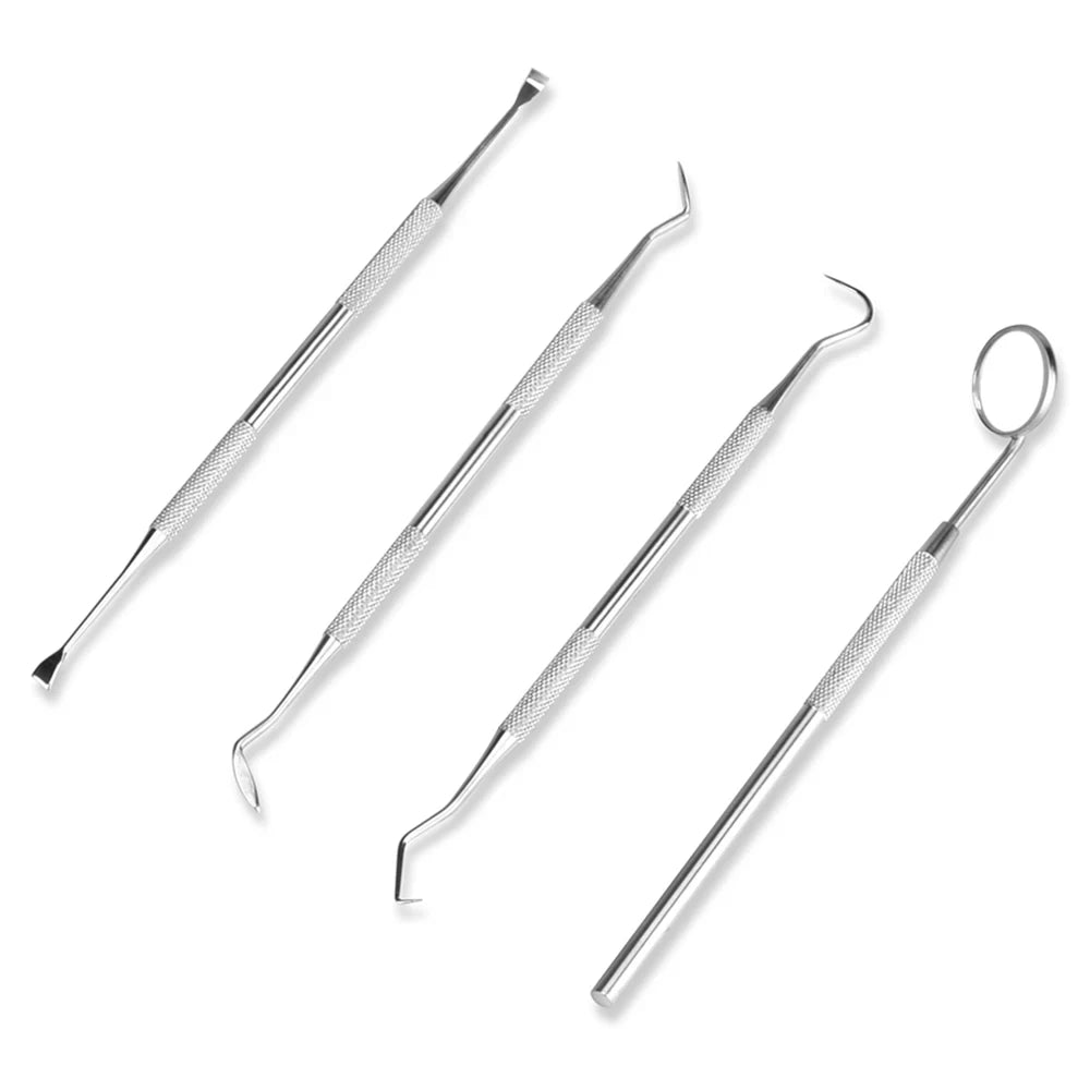 Professional 4-Piece Stainless Steel Dental Hygiene Cleaning Kit - 15