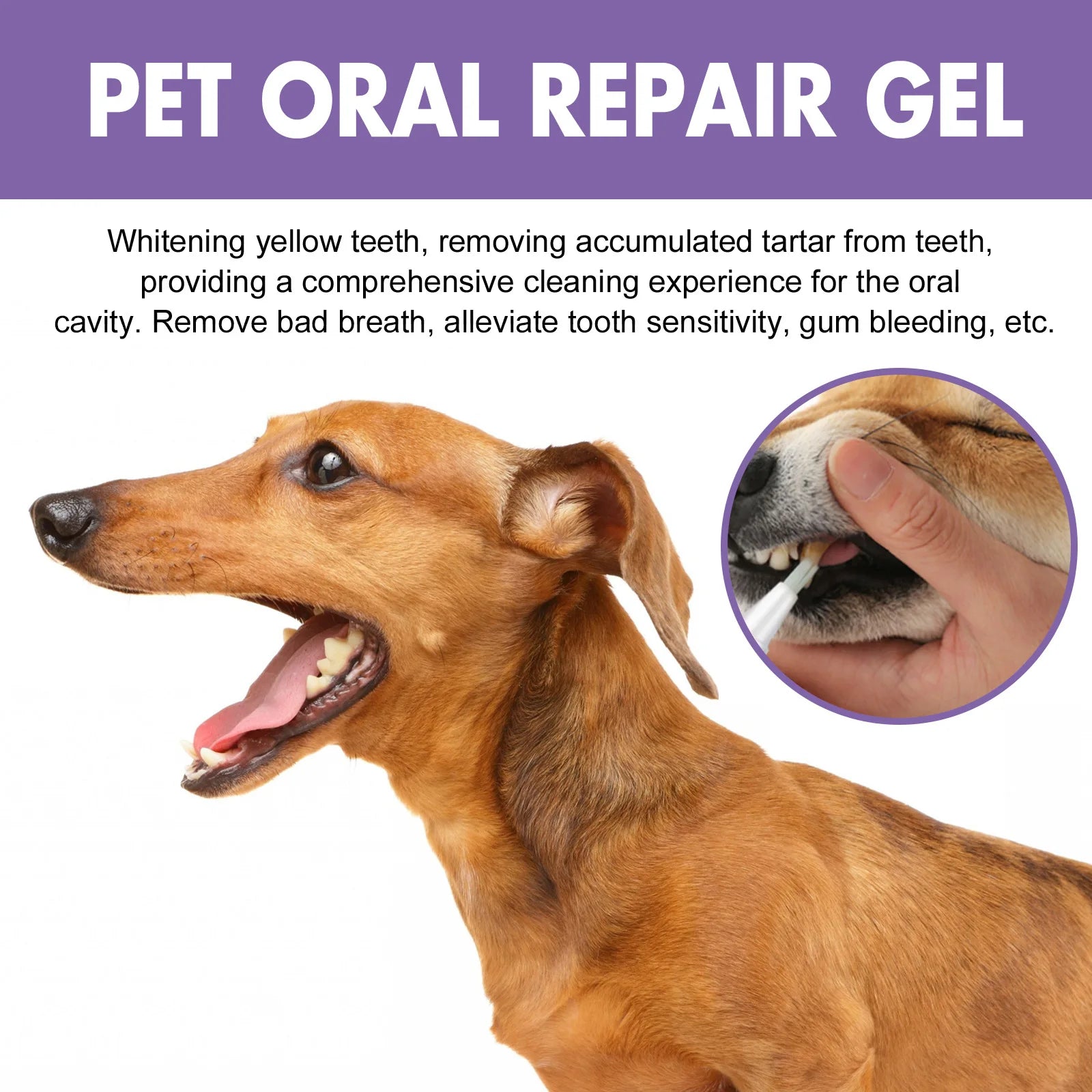 Pet Oral Repair Gel for Teeth Cleaning and Fresh Breath - 18