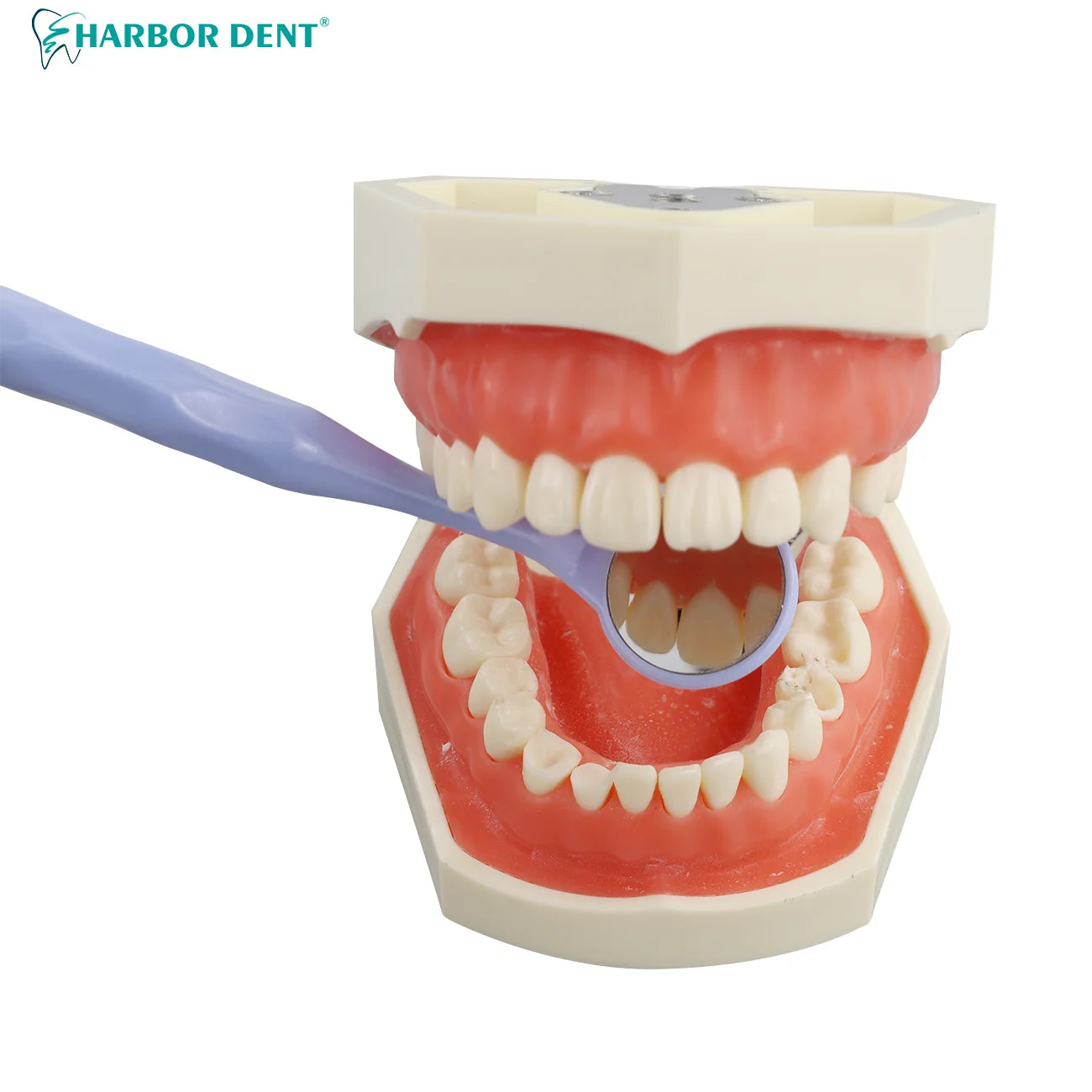 Anti-Fog Dental Examination Mirrors for Clear Oral Inspection - 2