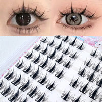 Glue-Free Cluster Eyelashes for Beginners