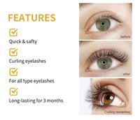 Professional Eyelash Lift and Tint Perming Kit
