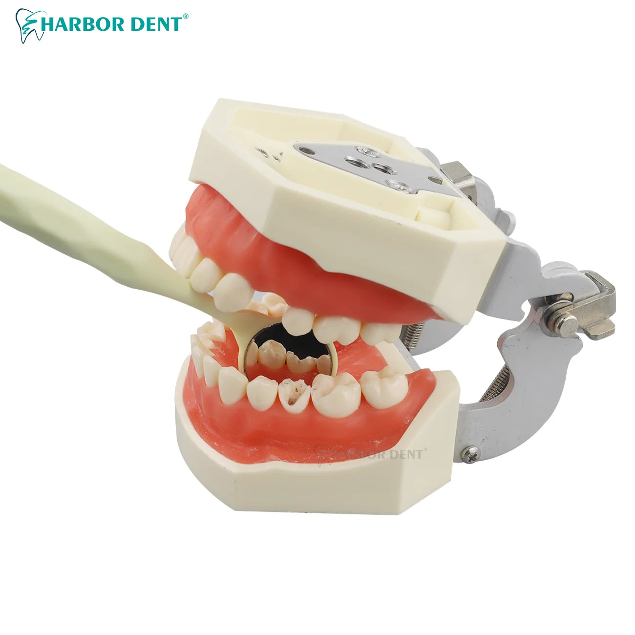 Anti-Fog Dental Examination Mirrors for Clear Oral Inspection - 8