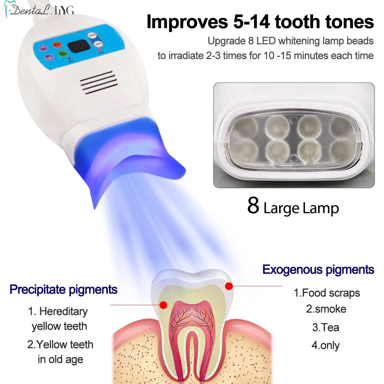 Professional LED Teeth Whitening Accelerator Lamp - 5