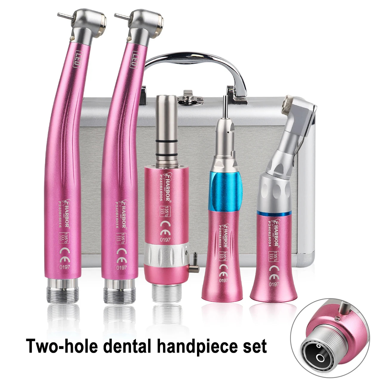 Professional 5-Piece LED Dental Handpiece Kit - 19