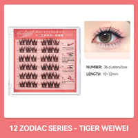 No-Glue DIY Segmented False Eyelashes
