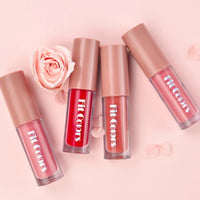 4-Piece Diamond Finish Long-Lasting Velvet Lip Gloss Set