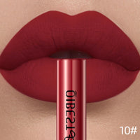 Long-Lasting Waterproof Velvet Matte Liquid Lipstick