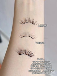 Magnetic Reusable False Eyelashes with Applicator Tool