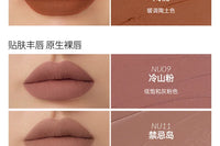 Velvet Matte Waterproof Liquid Lipstick