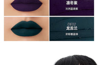 Velvet Matte Waterproof Liquid Lipstick
