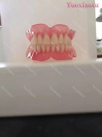 Full Mouth Denture Dental Study Model