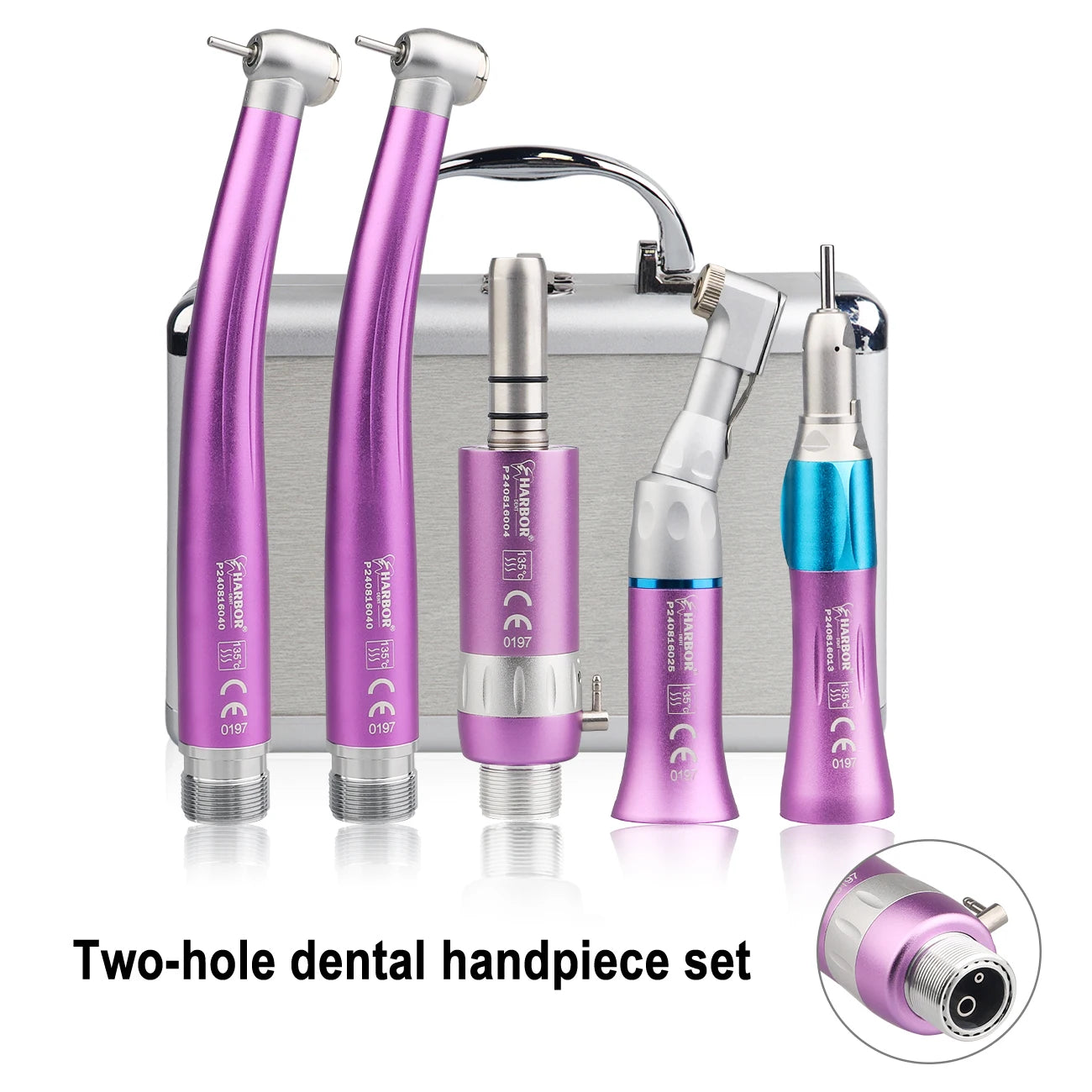 Professional 5-Piece Dental Handpiece Kit - 24