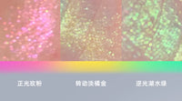 Chameleon Multi-Dimensional Glitter Highlighter Palette