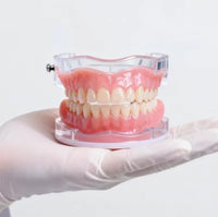 Instant Smile Cosmetic Dentures for Upper and Lower Teeth