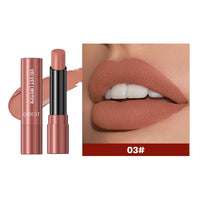 Velvet Matte Long-Lasting Lipstick