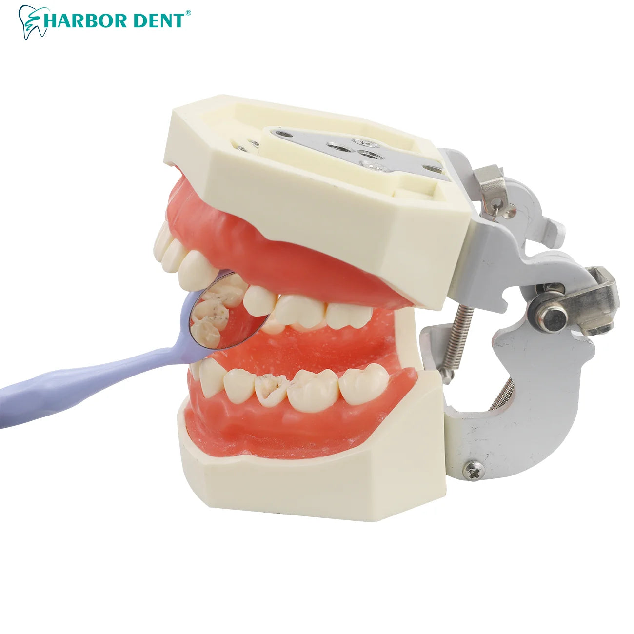 Anti-Fog Dental Examination Mirrors for Clear Oral Inspection - 4