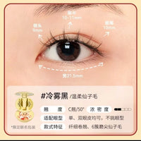 Magnetic Reusable False Eyelashes with Applicator Tool