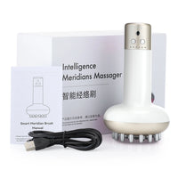 Electric Microcurrent Body Sculpting Massager