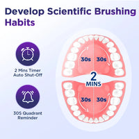 Rechargeable Rotary Electric Toothbrush with 4 Heads