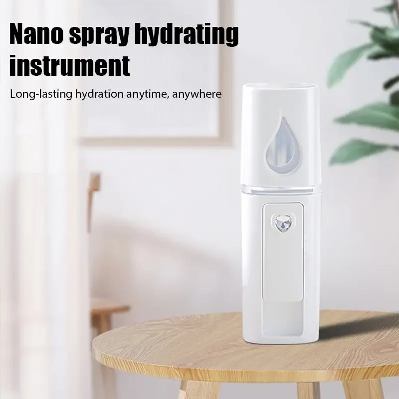 Portable Nano Ionic Facial Mist Sprayer - 13