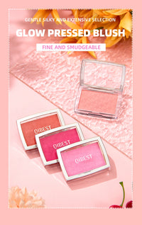 3D Embossed Powder Blush Palette for Radiant Cheeks