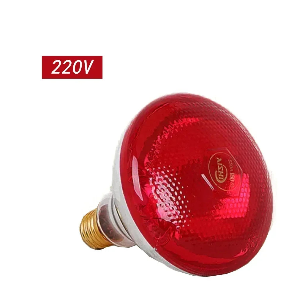 Infrared Red Light Therapy Bulb for Pain Relief & Muscle Recovery - 17