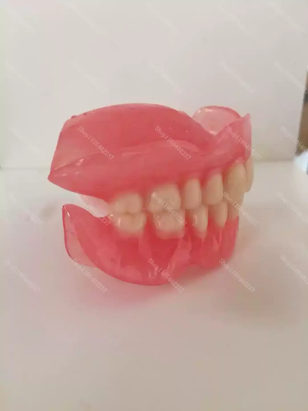 Full Mouth Denture Dental Study Model - 9