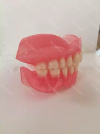 Full Mouth Denture Dental Study Model